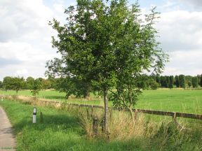 Greenwich Meridian Marker; England; Hertfordshire; Near Buntingford